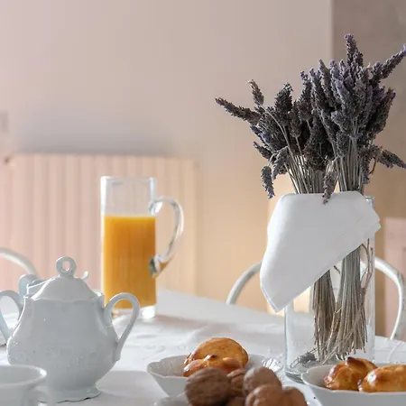 The Elegance For Appartement